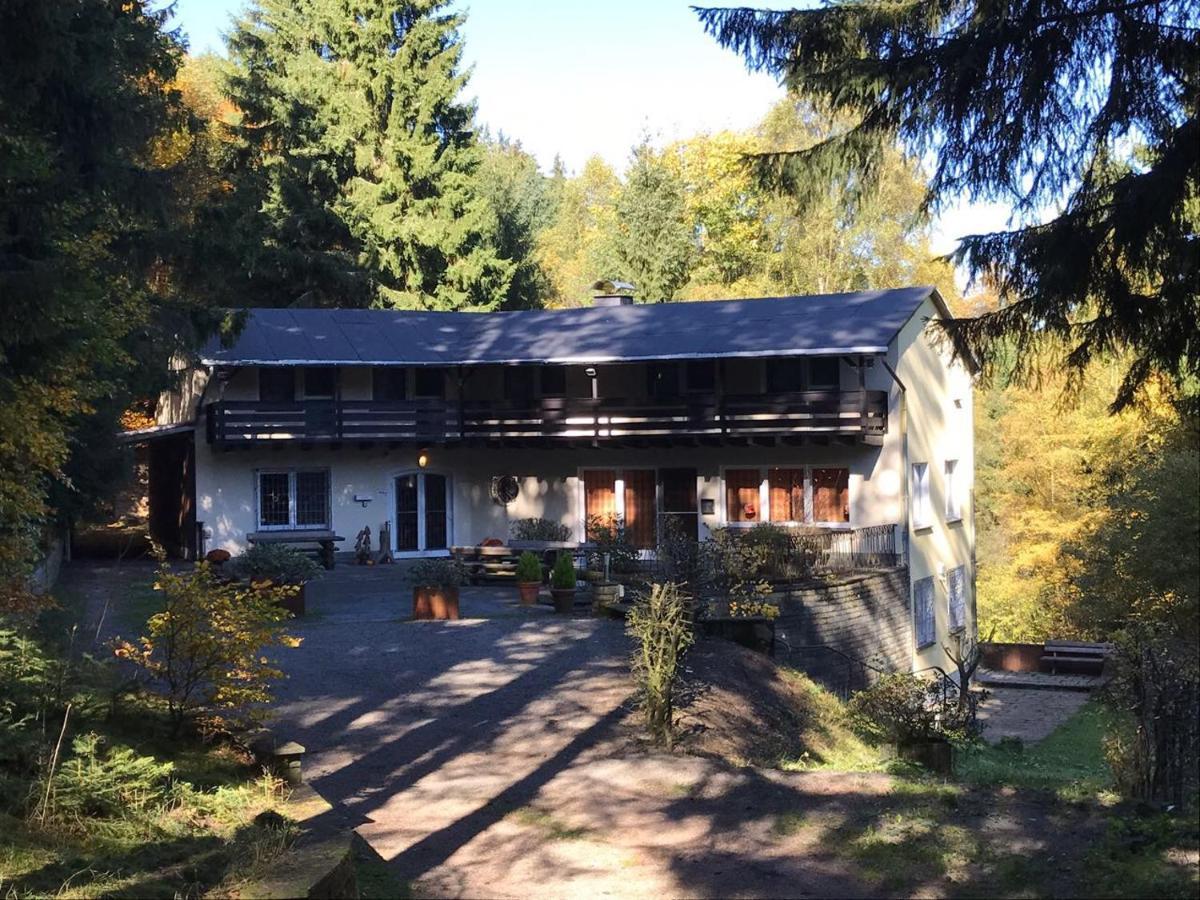 Ferienhaus Hirtenwiese Віллінген Екстер'єр фото